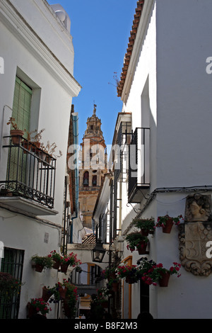 Die Calleja de Las Flores in Córdoba, Andalusien, Spanien. Stockfoto