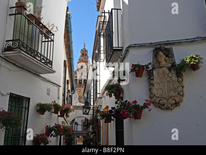 Die Calleja de Las Flores in Córdoba, Andalusien, Spanien. Stockfoto