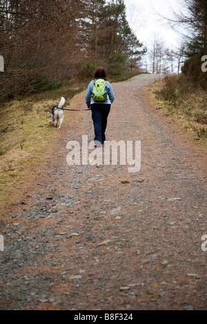 Einsame weibliche wandern Hund unten Country Track mit einem Hund an der Leine im Winter trägt einen Ruck sack, Crafnant, Wales, Großbritannien Stockfoto