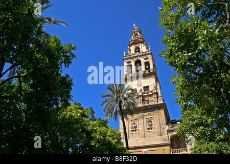 Der Patio de Los Naranjos, im Inneren der Mezquita in Córdoba, Andalusien, Spanien Stockfoto