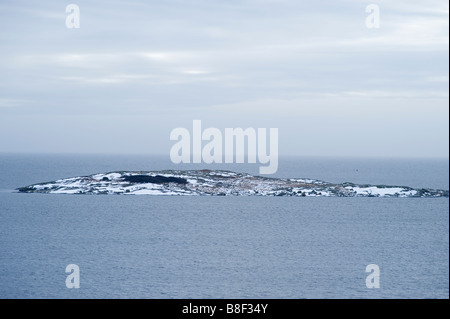 Kleine Insel im Winter, Schweden Stockfoto