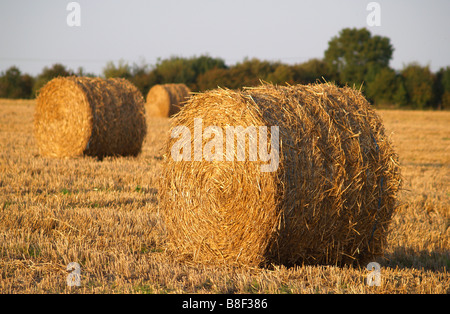 Strohballen auf einem Feld in Woodborough, Nottinghamshire, England UK Stockfoto