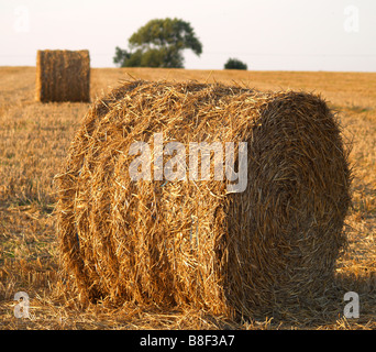 Zwei Ballen Heu Ina Feld in Woodthorpe, Nottinghamshire, England UK Stockfoto