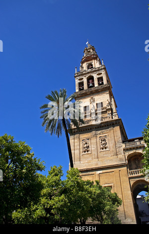 Der Patio de Los Naranjos, im Inneren der Mezquita in Córdoba, Andalusien, Spanien Stockfoto