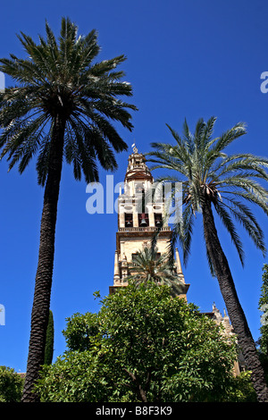 Der Patio de Los Naranjos, im Inneren der Mezquita in Córdoba, Andalusien, Spanien Stockfoto