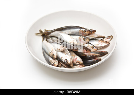 Eine Schüssel mit kleinen Fischen Sprotten isoliert auf einem weißen Studio-Hintergrund Stockfoto