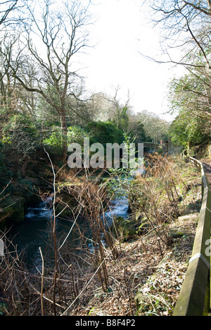 Jesmond Dene, Brücke über die Ouse brennen Stockfoto