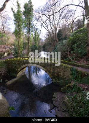 Jesmond Dene, Brücke über die Ouse brennen Stockfoto