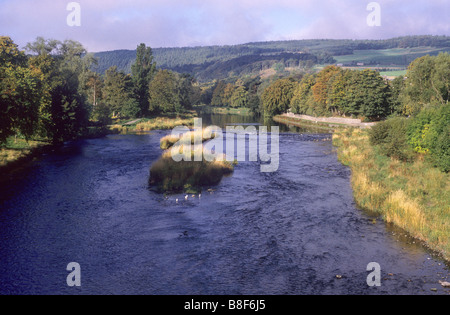 Fluss Tweed Peebles Grenzen Region Herbst Farbe Schottland UK schottische Landschaft Landschaft Tal Stockfoto