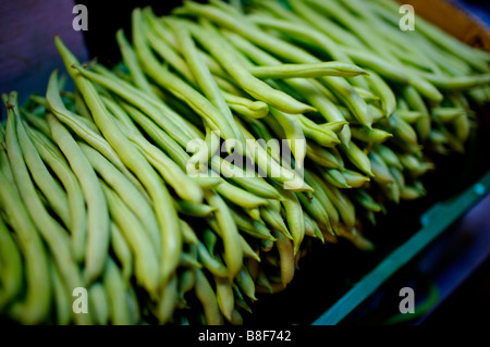 Ein Haufen von frischen grünen Bohnen in einer Box auf dem Display in einem Marktstand Stockfoto