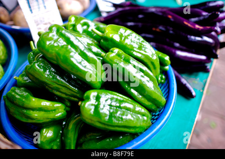 Grüne Paprika auf ein Kunststoff-Tablett neben einem Haufen von dunkel lila Auberginen Stockfoto