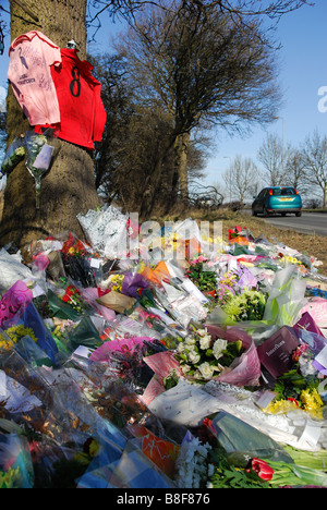 Am Straßenrand Memorial Blume Tribut. (a614 Nottinghamshire). Stockfoto