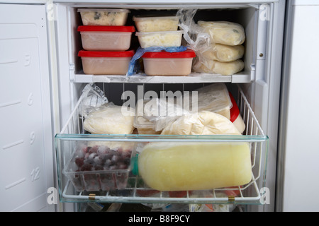 kleinen Hause Gefrierschrank voller Behälter mit einzelnen Hausmannskost vorgefertigtes Teile einschließlich Suppen Kartoffelpüree eingefroren Stockfoto