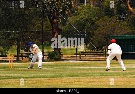 Sport-Australien / Amateur cricket in Melbourne Victoria Australien. Stockfoto