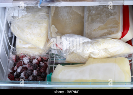 Gefrierschrank Schublade voller Behälter mit einzelnen Hausmannskost vorgefertigtes Teile einschließlich Suppen Kartoffelpüree gefrorene Milch Stockfoto