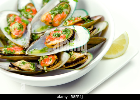 Frisch gekochte Green Lipped Muscheln (grüne Schale Muscheln) aus Neuseeland. Serviert mit Knoblauch-Kräuterbutter. Stockfoto