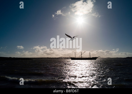 Die Lady Elizabeth in Port Stanley die Falkland-Inseln liegen Stockfoto