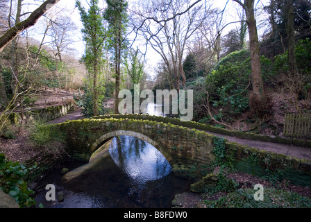 Jesmond Dene, Brücke über die Ouse brennen Stockfoto