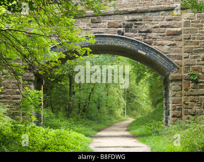 Ein Blick auf eine Brücke auf dem Tissington Trail, in der Nähe des Dorfes Parwich im Peak District Derbyshire England UK Stockfoto