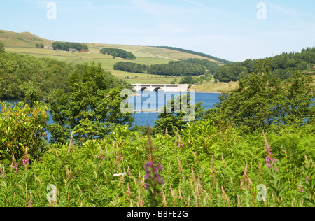 Ein Blick über Ladybower Vorratsbehälter in den Upper Derwent Valley im Peak District, Derbyshire England UK Stockfoto