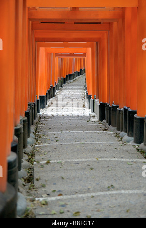 Orange lackiert Torii-Tore im Fushimi Inari-Taisha-Schrein in Kyoto, Japan. Stockfoto