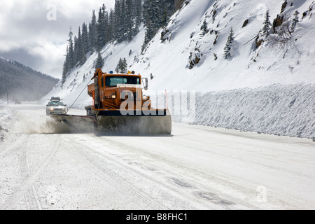 Colorado Department of Transportation Schneepflug arbeiten auf dem Highway 50 in der Nähe von Monarch Pass, Chaffee County, Colorado, USA Stockfoto