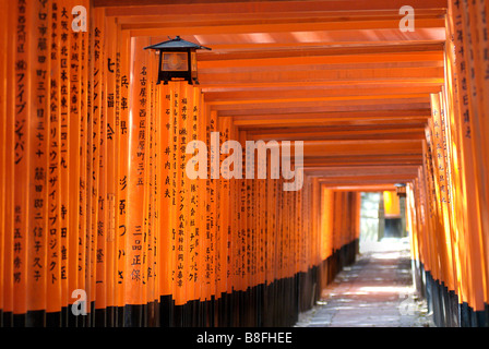 Orange lackiert Torii-Tore im Fushimi Inari-Taisha-Schrein in Kyoto, Japan Stockfoto