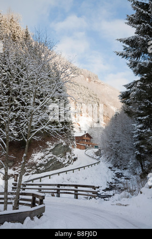 Rauris Österreich Blick entlang der Bergstraße nach Gaisbachtal in Alpine Valley mit Tannen Bäumen nach starkem Schneefall im Winter Stockfoto