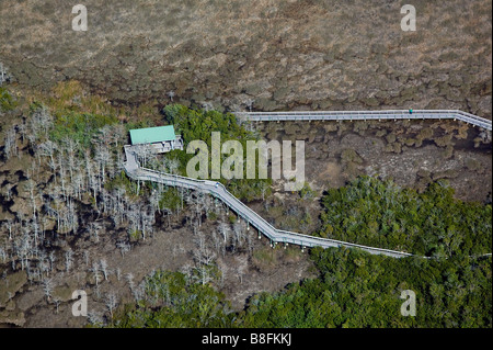 Luftaufnahme über Plattform Everglades Nationalpark Florida anzeigen Stockfoto