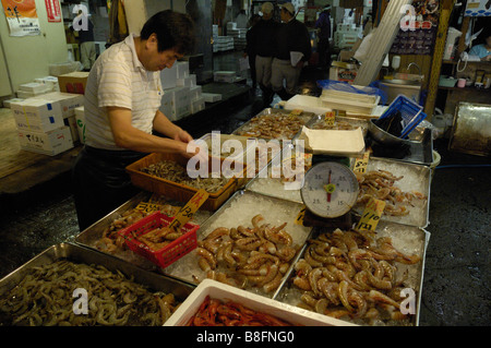 Ein Händler sortiert Garnelen zum Verkauf an Tokios Tsukiji-Fischmarkt Stockfoto