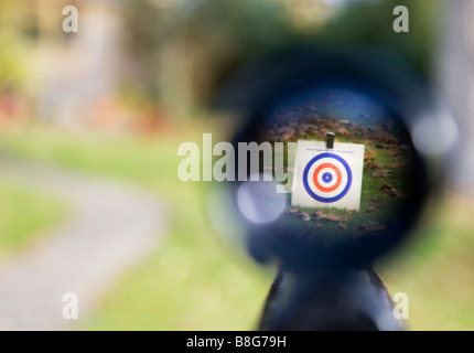 Umweltgifte. Ziel in Sicht. Blick auf ein Ziel die Bereiche der ein Luftgewehr. Stockfoto
