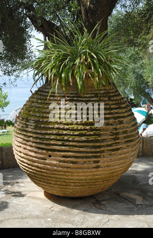 Großen Stein Topf mit Pflanzen, stehend in der Sonne unter Bäumen auf der Terrasse des Hotels in Korfu Stockfoto