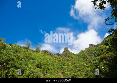 Nach oben auf dem Bergrücken oberhalb der Kalalau Trail entlang der Na Pali Küste Kauai Hawaii Stockfoto