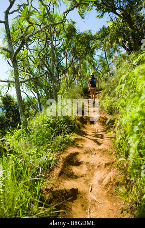 Frau zu Fuß mit einem Wanderstab durch einen tropischen Wald auf der Na Pali Küste von Kauai Hawaii Stockfoto