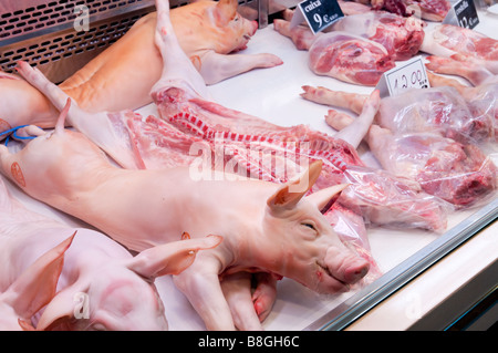 Spanferkel auf einem Metzger Stand auf dem Mercat De La Boqueria-Markt zum Verkauf Stockfoto