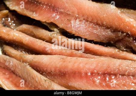 flache Filets von Sardellen in reinem Olivenöl Vorspeise Stockfoto
