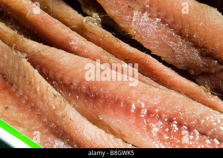 flache Filets von Sardellen in reinem Olivenöl in Blechdose Stockfoto