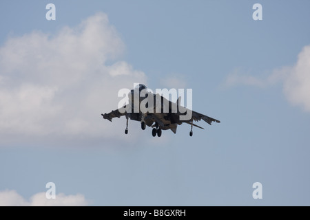 AV-8B Harrier Stockfoto