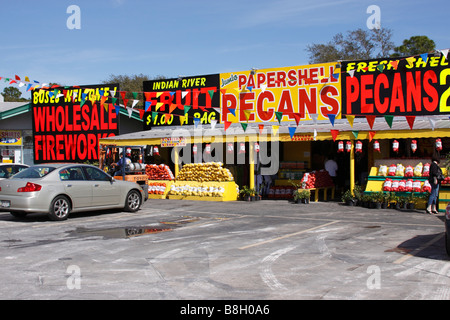 Frucht-Nuss und Feuerwerk stehen off Interstate 95, Georgia, USA Stockfoto