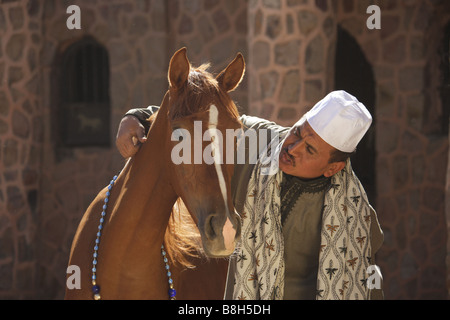 Mann mit Vollblutaraber - Porträt Stockfoto