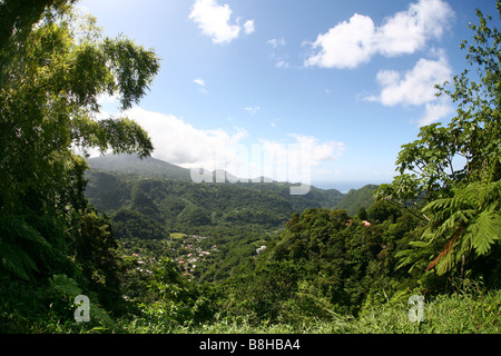 Blick über den Dschungel des Morne Trois Pitons National Park auf der karibischen Insel Dominica Stockfoto