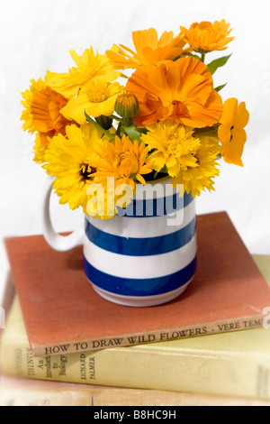 Gemischte orange und gelbe Schnittblumen in traditionellen kornischen blauer vase Stockfoto