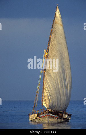 Dhow, einem traditionellen arabischen Segelschiff Sansibar Tansania Stockfoto