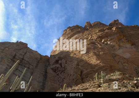 Nachschlagen von Fish Creek Canyon auf dem Apache Trail in Arizona Stockfoto