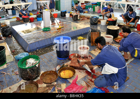 Eine Gruppe von Männern, die auf nassem Boden sitzen und verschiedene Fische aus neuem Fang im Emirat Fujairah an der Ostküste der VAE vorbereiten Stockfoto