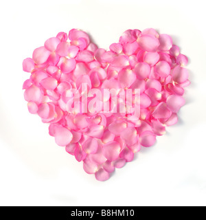 Detail der Valentinstag Hintergrund rosa Rosenblüten gemacht Stockfoto