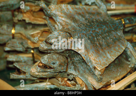 Gekreuzigten Geckos für den Verkauf auf eine chinesische Medizin getrocknet waren Stall in Sheung Wan, Hong Kong Island, Hongkong Stockfoto