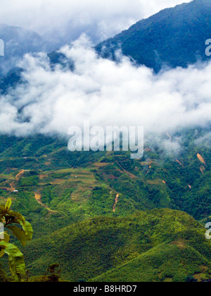 Blick auf niedrige Wolken über Lao Chai Tal Sapa Vietnam JPH0182 Stockfoto