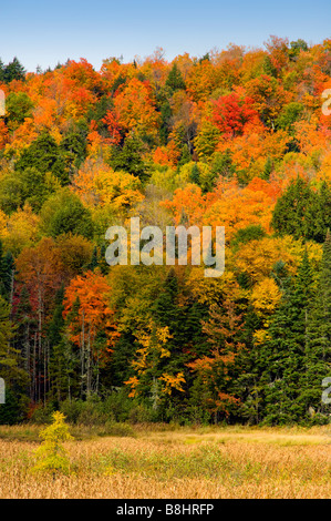 Die Adirondack Berge in Flammen in Herbstfarben Farbe in New York State USA Stockfoto