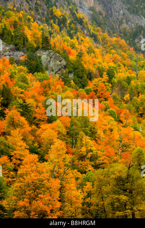 Die Adirondack Berge in Flammen in Herbstfarben Farbe in New York State USA Stockfoto